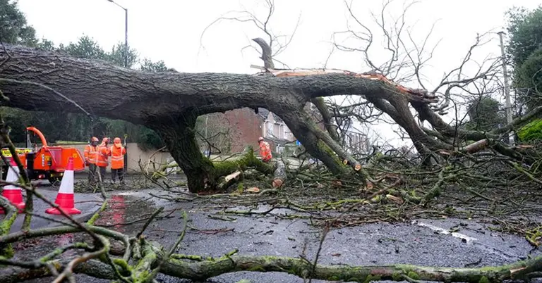 ঝড়ে ভেঙে পড়েছে গাছ, সড়ক বন্ধ ও যানজট সৃষ্টি